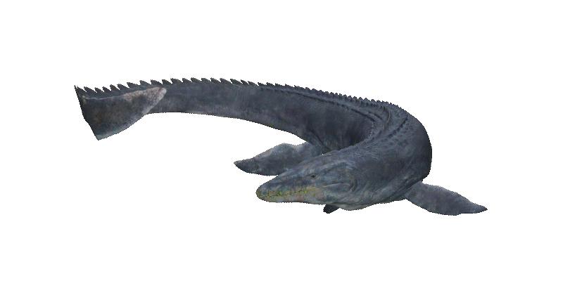 Mosasaurus